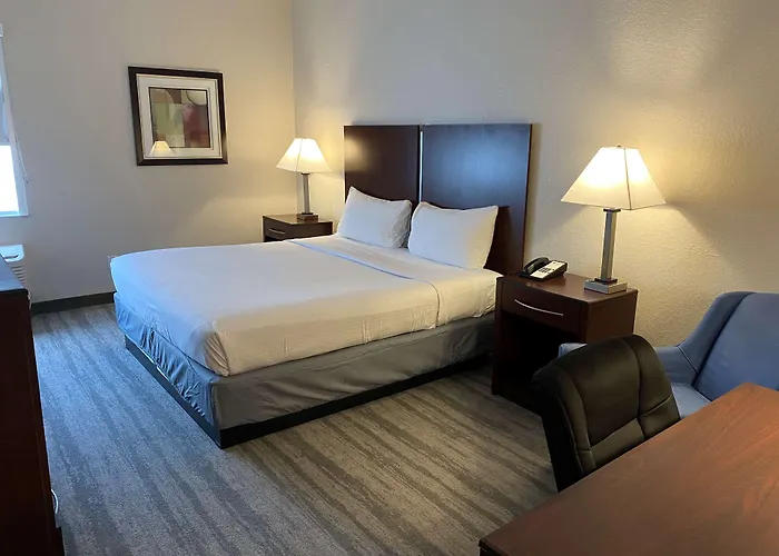 Best Western Tampa