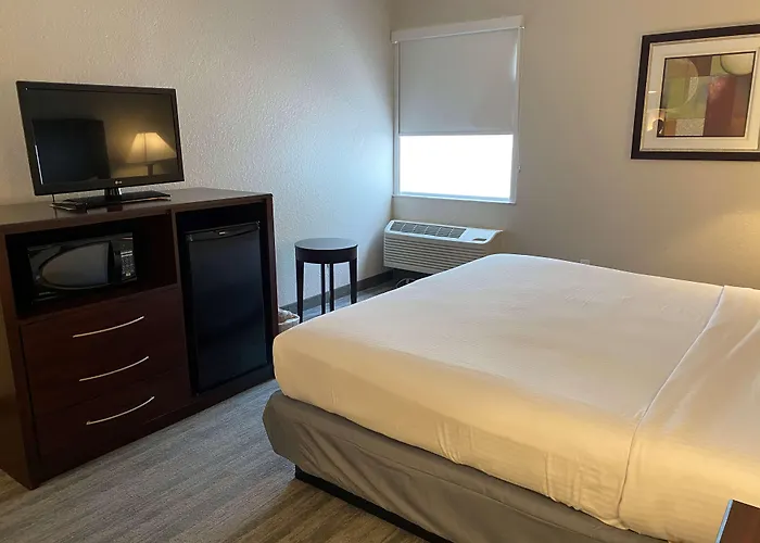 Best Western Tampa